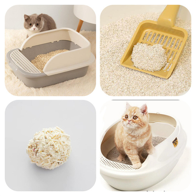 Вязкостный сор кота Clumping камедь Гуаровая камедь агента основная органическая